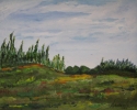 northern-ontario-2